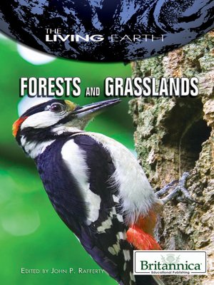 cover image of Forests and Grasslands